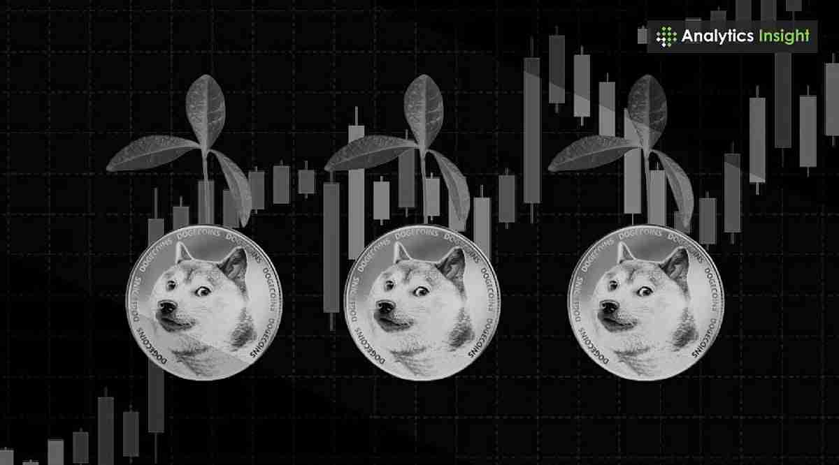 Dogecoin价格分析：公牛准备跑步了吗？